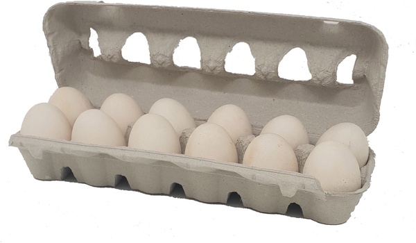 Huevera Carton Unidad Huevera Carton Unidad